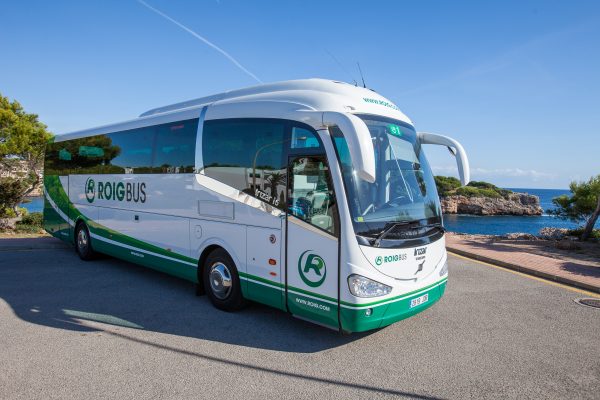 Bus Rental For 55 People Roig