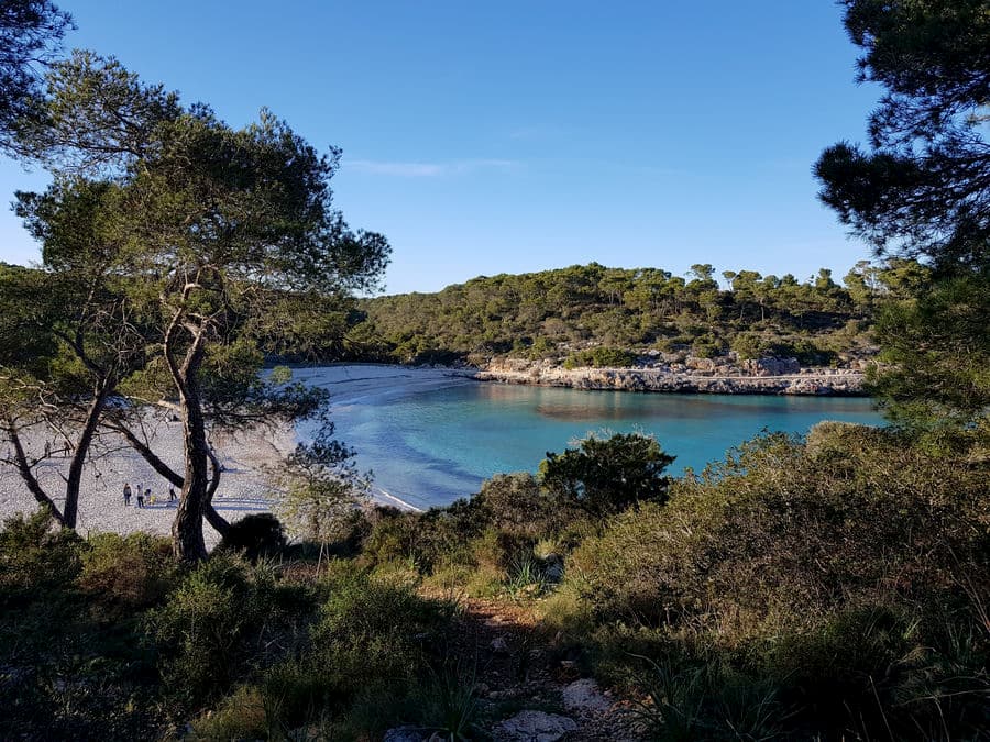 Die schönsten Buchten auf Mallorca mit einem Mietfahrzeug erleben: Naturpark Cala Mondrago
